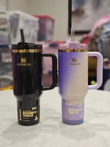 Vasos Stanley X Wicked 40 oz Glinda y Elphaba Target exclusivos en mano - Imagen 1 de 13