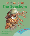 Pierre De Hugo The Seashore (Livre de poche) (IMPORTATION UK)