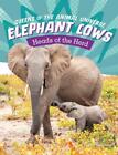 Elephant Cows - Heads Of The Herd By Maivboon Sang (english) Paperback Book