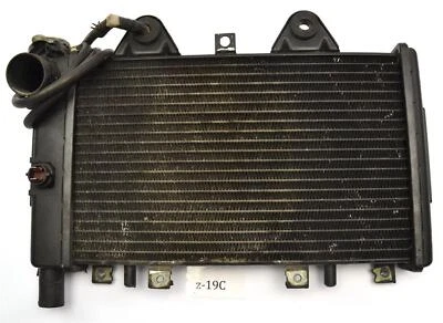 Triumph T 300 D Daytona 900 - Radiador enfriador de agua Foto 1 de 2