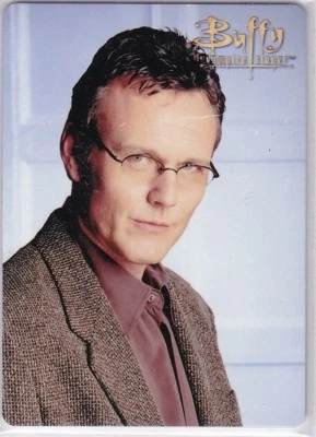 BUFFY THE VAMPIRE SLAYER ULTIMATE COLLECTOR'S SET 2 CHARACTER METAL CARD BM4  - Image 1 of 2