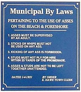 Municipal By Laws Asses On Beach emailliertes Stahlschild 180 mm x 130 mm REDUZIERT!! - Bild 1 von 1