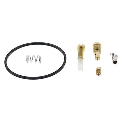 Kit de reparación de reconstrucción de carburador All Balls para Arctic Cat Sno Pro 120 10-13 Foto 1 de 4