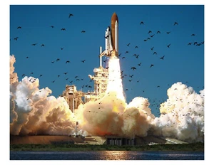 1986 NASA STS-51-L Space Shuttle Challenger 39B Launchpad 8x10 Phot On 8.5" x 11 - Picture 1 of 1