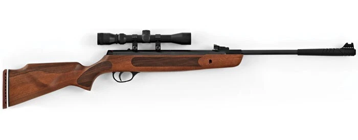 HATSAN ARMS COMPANY Hatsan 1000X Striker Air Rifle Combo (.25cal) - Hardwood