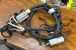 FNM 13 HPE 110-80 ENGINE/ECM WIRE HARNESS MARINE 4 CYL DIESEL 1.3 MULTIJET II - Foto 1 di 7