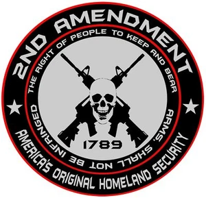 2nd Amendment - America's Original Homeland Security 5 inch Vinyl Decal - Picture 1 of 1