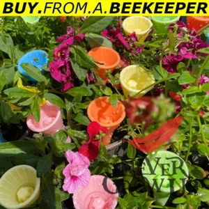 Bunter Bieneninsektentrinkbecher, Bieneninsektentrinkbecher, Bienentassen LM - Bild 1 von 16