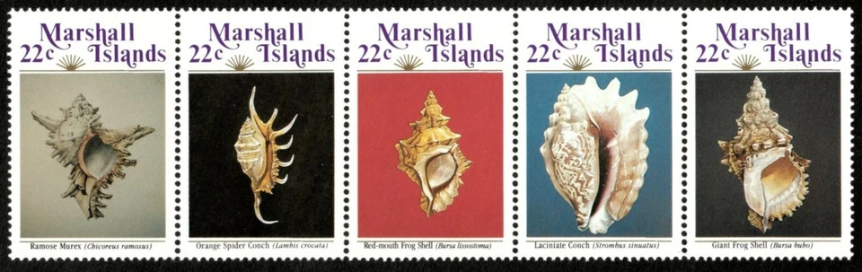 Маршалловы острова 1986 - ракушки типы - полоска из 5 - Скотт 123a - MNH - Изображение 1 из 1