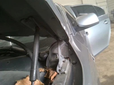 ¡¡SOLO PAR DE BISAGRAS!! Capó para BMW 550i 1517227 06-10 Foto 1 de 4