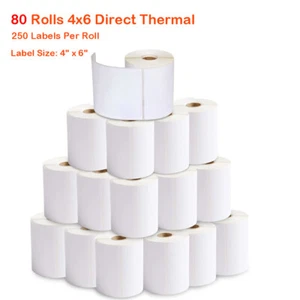 80 rollos 4x6 etiquetas térmicas directas 250/rollo para Zebra Eltron LP2844 ZP450 EE. UU. - Imagen 1 de 5