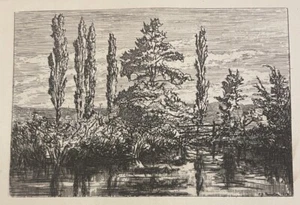 1867 ORIGINAL ANTIQUE ETCHING PRINT Philip Hamerton Poplars and Oak - Picture 1 of 2