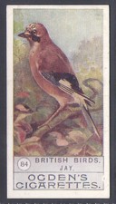 OGDENS-BRITISH BIRDS 1909 (2ND SERIES)-#084- JAY 