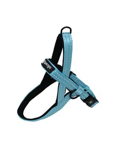 Alcott (A10611) Blue-Medium - Picture 1 of 1