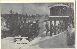 CAMINO, CA Cable & Northern Railroad Train El Dorado County Vintage Postcard - Picture 1 of 2