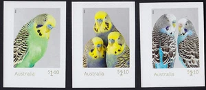 AUSTRALIA 2022 BIRDS, PARROTS, SELF-ADHESIVE Sc 5483-5485 MNH - Picture 1 of 1