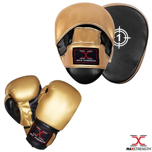 Juego de almohadillas de enfoque y guantes de boxeo guantes de gancho y golpe MMA lucha golpeo entrenamiento - Imagen 1 de 16