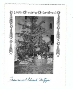 Photographic Christmas Card, Cat In basket Under Tree - Picture 1 of 1