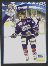 2006/07 DEL Straubing Tigers DAVID Lundbohm Postcard Roseau,Minnesota