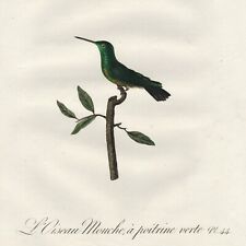 Scarce 1802 AUDEBERT & VIEILLOT Hand-Colored Folio Engraving HUMMINGBIRDS Pl. 44