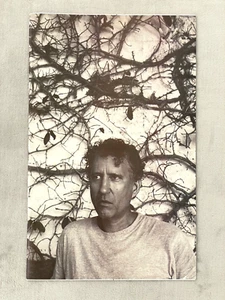 ANP Quarterly Magazine Issue #2 2005 Raymond Pettibon Ed Templeton RVCA Art Rare - Picture 1 of 7