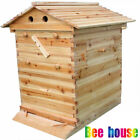 Beekeeping Bee Beehive Brood House Natural Fir Box Wihout frames