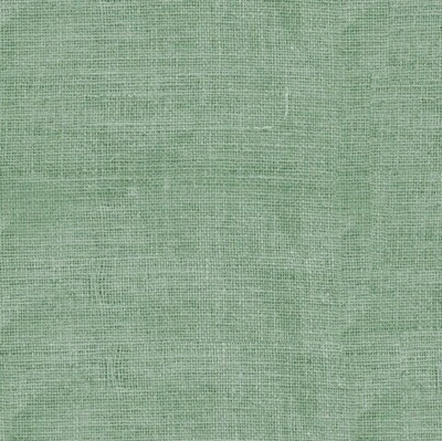 Bellerose by Timeless Treasures Green Burlap Look Cotton Fabric by The Yard - Image 1 of 4
