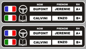 2 X NOM PILOTE + COPILOTE + DRAPEAU 20CM RALLYE COURSE STICKER 012 - Imagen 1 de 1