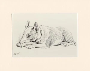 IMPRESIÓN DE BOCETO ARTE PERRO BULL TERRIER ANTIGUO 1937 por LUCY DAWSON AKA MAC LISTO MONTADO - Imagen 1 de 1