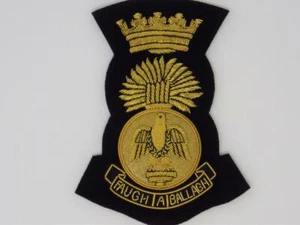 ROYAL IRISH FUSILIERS BLAZER BADGE ( EAGLE ) - Foto 1 di 1