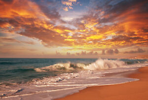 Fototapete-BEACH SUNSET-(355P)-350x260cm-7Bahnen 50x260cm-Meer Strand Sonne XXL