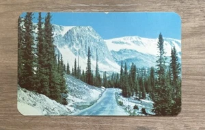 Highway 130 Snowy Range Medicine Bow National Forest Wyoming Postcard - Picture 1 of 2