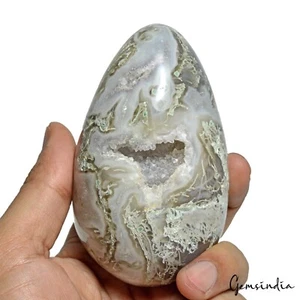 2500 Ct Dendrita Natural Musgo Ágata Cristal Curativo Druzy Forma Ovalada Huevo con Soporte - Imagen 1 de 5