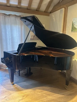 Bösendorder 170 Grand - un pianoforte eccezionale. - Immagine 1 di 4