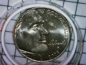 2005 P SPEARED BUFFALO NICKEL BEAUTIFUL COIN - Picture 1 of 5