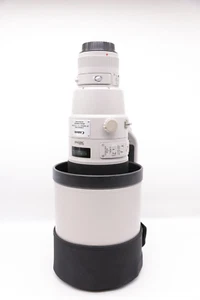 Canon EF 500mm f/4 L IS II USM Telephoto Lens with 500B Case & Camouflage Cover - Picture 1 of 21