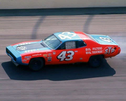 RICHARD PETTY 1972 #43 STP OIL TREATMENT ON TRACK 13X19 GLOSSY POSTER PHOTO Cover