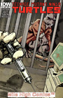TEENAGE MUTANT NINJA TURTLES  (2011 Series)  (IDW) #9 A Near Mint Comics Book