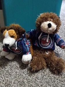 Minnesota Twins Licensed MLB Good Stuff Plush Teddy Bear and dog mn Sweatshirt  - Picture 1 of 3