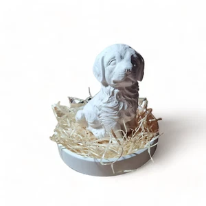 Molde de fundición Golden Retriever de látex, molde 3D, molde de fundición de látex esculturas perro 247 - Imagen 1 de 9
