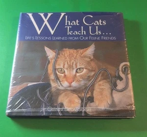 Was Katzen uns lehren Hardcover Buch  - Bild 1 von 2