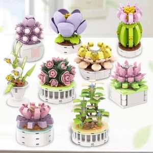Nuovo Blocco Città Fai da Te Piante in Vaso Succulente Cactus Gypsophila Bonsai Albero Giardino - Foto 1 di 19