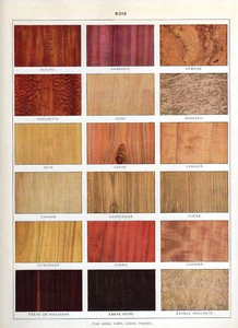 Tipo de Maderas Madera Cedro Ébano Caoba Abedul Arce Larousse - Imagen 1 de 2