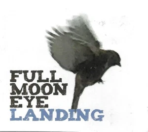 Landing by Full Moon Eye (CD, 2016) - Picture 1 of 2