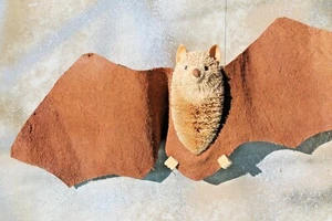 Naturfaser 3-D fliegendes Tier FLEDERMAUS, 15" breit KOSTENLOSER VERSAND! - Bild 1 von 10
