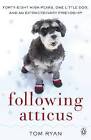 Following Atticus: How a little dog led one man on