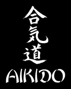 AIKIDO KANJI Vinyl Decal (3 Sizes,12 Colors) SD - Picture 1 of 2