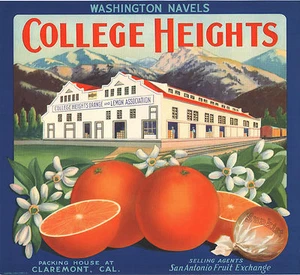 *Original* COLLEGE HEIGHTS Railroad Packing House Orange Crate Label NOT A COPY! - Picture 1 of 1