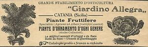 W6189 Einrichtung Gartenbau Garten Carbon_Catania - Werbung 1934 - Adv