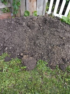 23.5 LBS - East Central Minnesota American Dirt / Sand / Small Rock - Not Sifted - Picture 1 of 4